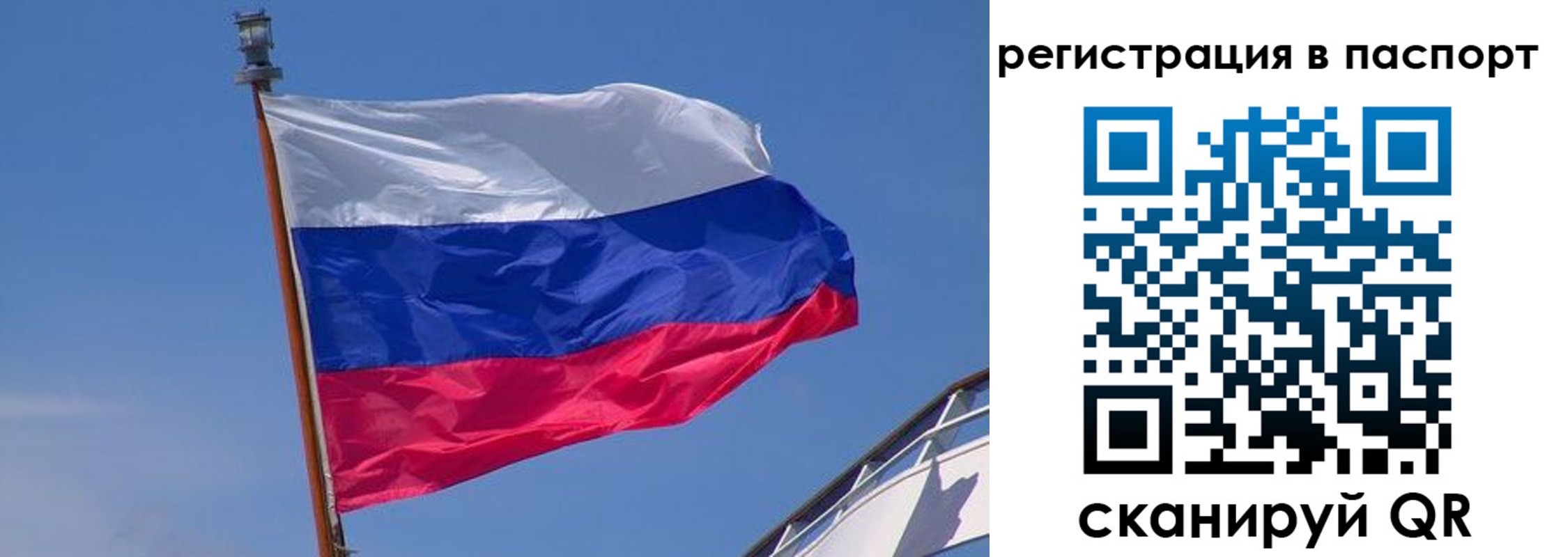 прописка законно в Елабуге